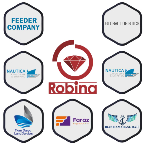 Robina International Transportation Holding