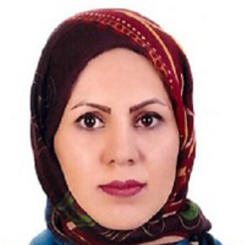 mrs engineer Neda rahmani